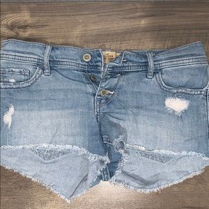 Low Rise Hollister Shorts